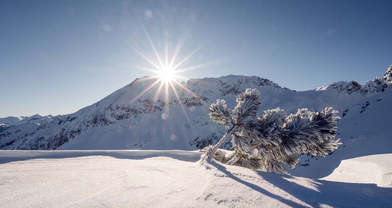 Mehr Lifte & Pisten in Zauchensee